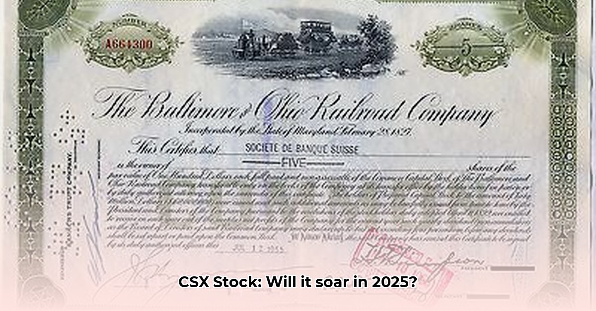 csx-stock-certificate